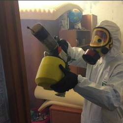 Уничтожение клопов в квартире. Народное Ополчение