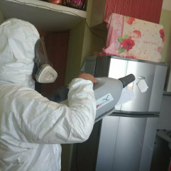 Уничтожение насекомых в квартире. Народное Ополчение